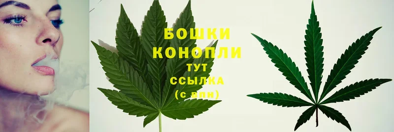 omg ССЫЛКА  Анадырь  Бошки марихуана THC 21% 